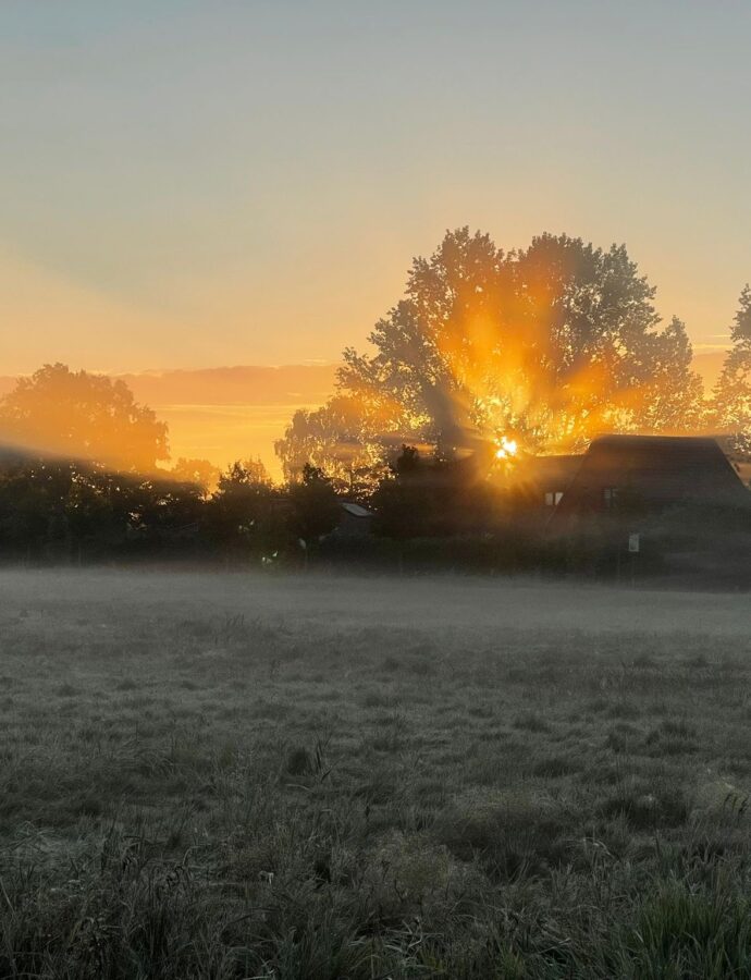 Zwischenräume 