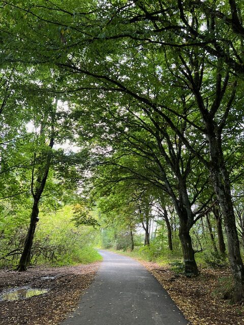 Deinen Weg