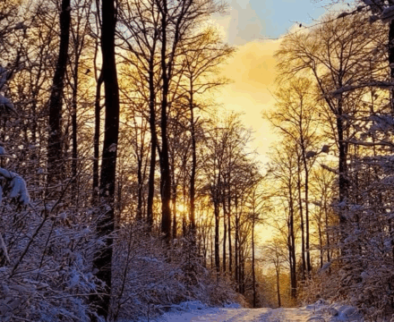 Dein neues Leben kostet immer dein altes