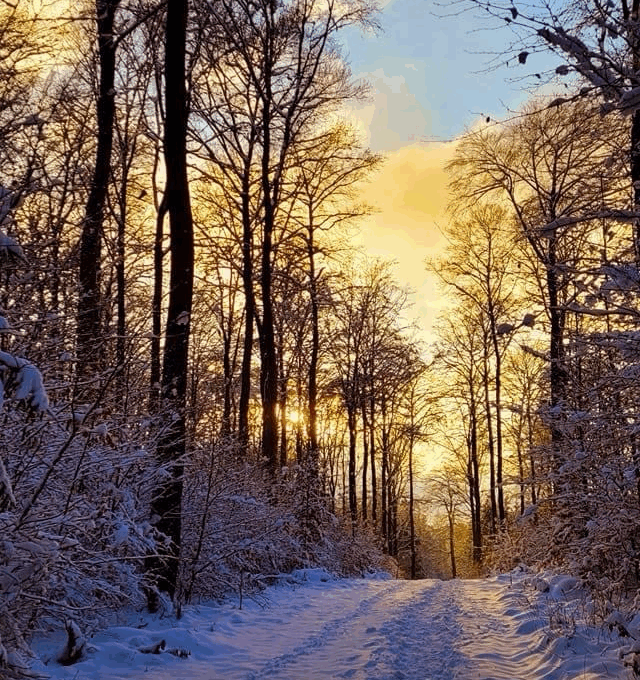 Dein neues Leben kostet immer dein altes
