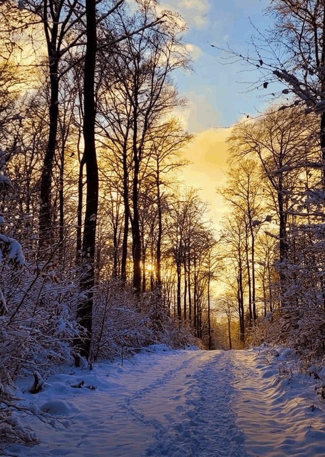 Dein neues Leben kostet immer dein altes
